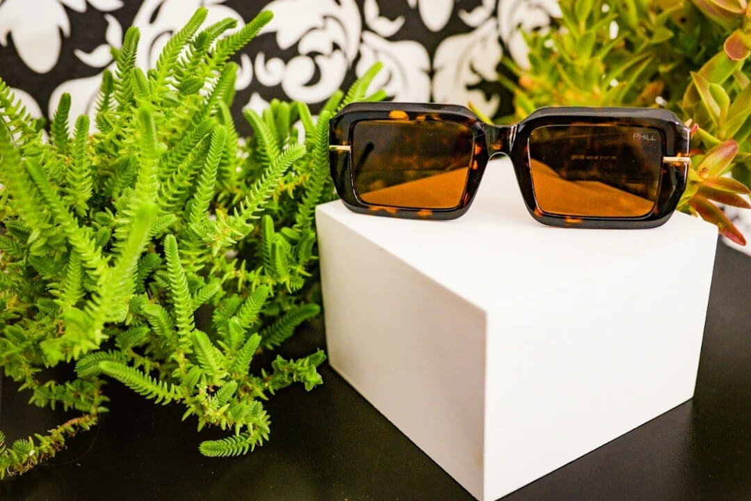 Óculos de sol em pedestal com plantas na Óptica Visualisi
